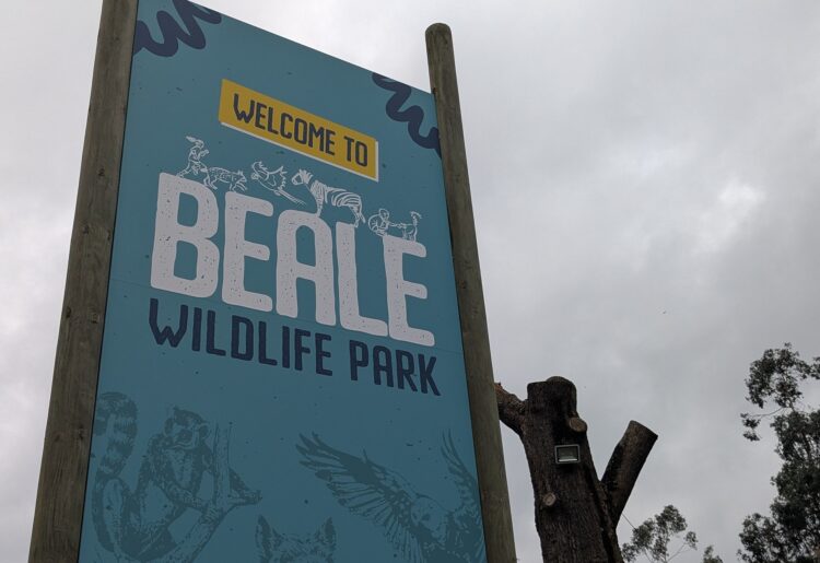 Brad and Enkai, a pair Two-toed Sloths, have been welcomed as the newest residents of Beale Wildlife Park in Pangbourne?and you can meet them too. Picture: Jake Clothier