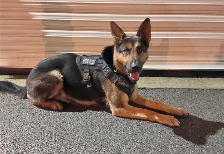 Thames Valley Police