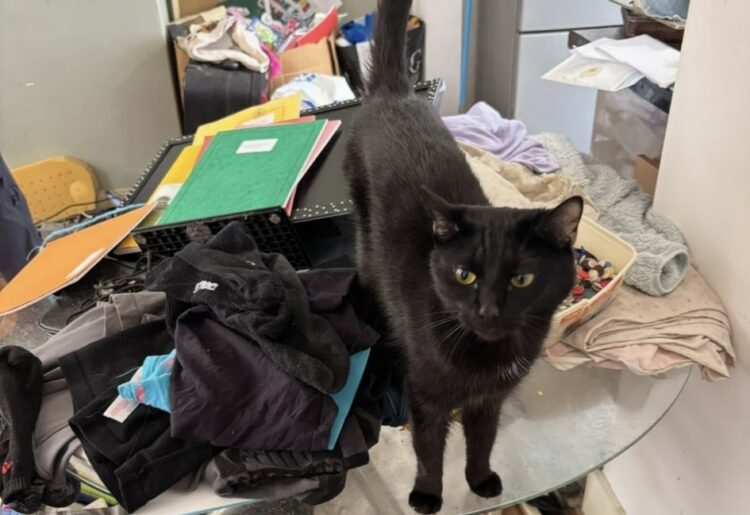 Picture: Thames Valley Police