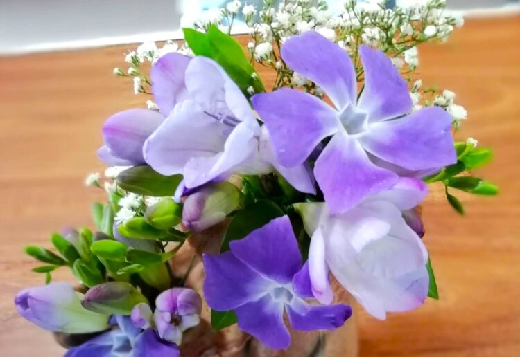 Spring flowers captured the attention of visitors to Caversham Horticultural Society's Spring Show. Pictures CHS