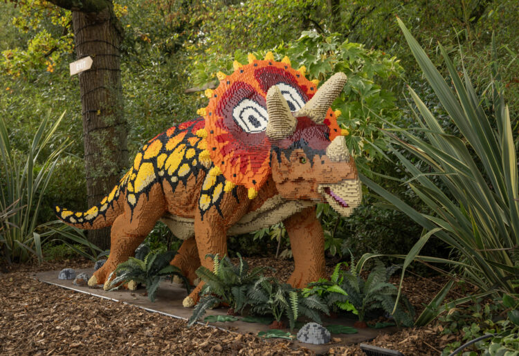 Made entirely from toy bricks, the collection of 19 creative dinosaur builds is coming to Reading as part of the Reading Dino Trail next week. Picture: Hertfordshire Zoo
