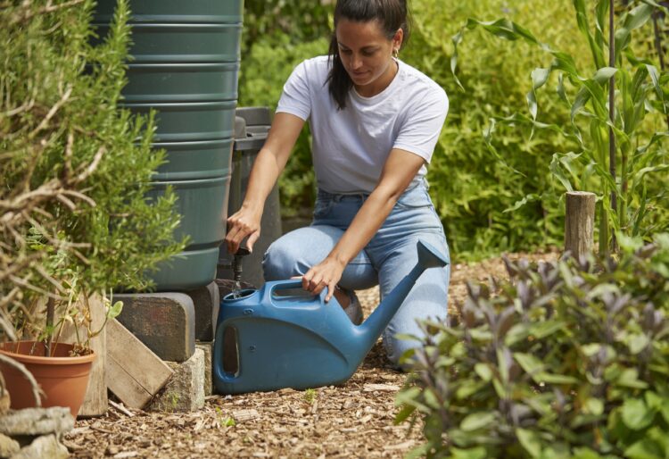 South East Water, Affinity, Anglian Water, South West Water, Southern Water, and Cambridge Water have all placed hosepipe bans in force this month? though Thames Water has not yet enforced any restrictions. Picture: Thames Water