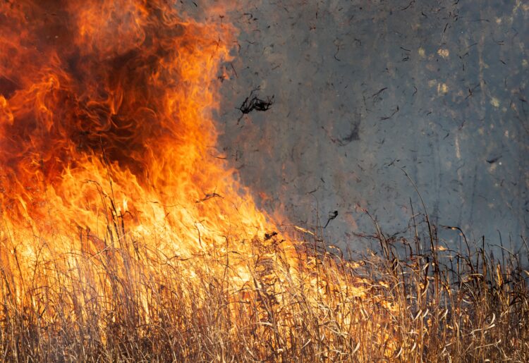 Help prevent open fires this summer. Picture: Ted Erski via Pixabay