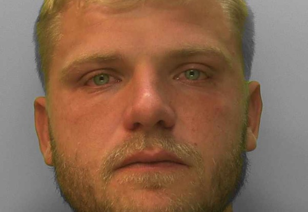 Ryan Dinnage was sentenced at Reading Crown Court