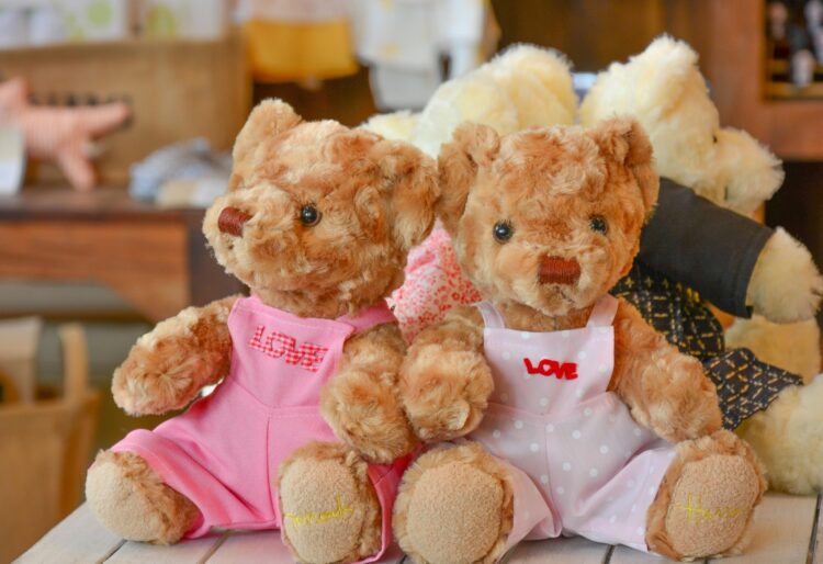 PACT seeks adopter to give twin girls a loving home. Picture: Morladda via Pixabay