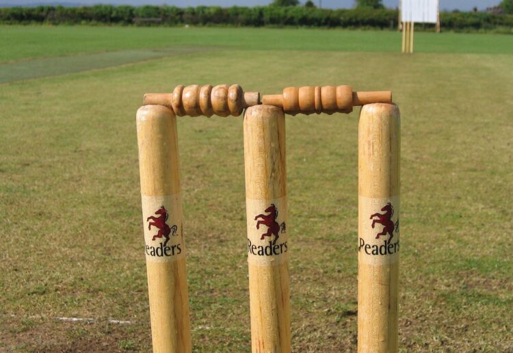 Cricket Picture: Wikimedia Commons