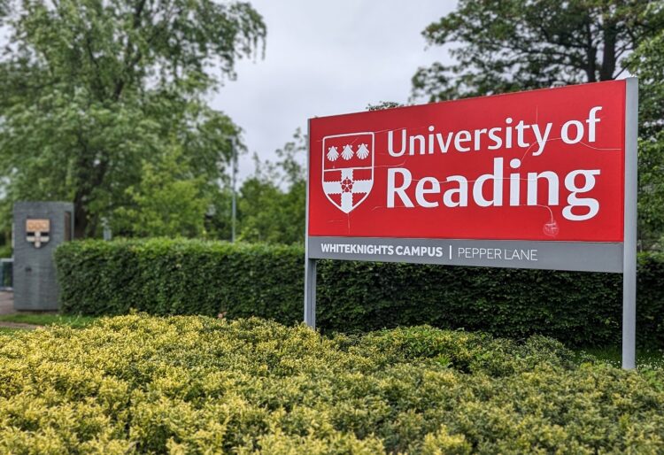 A high dose of Vitamin B12 supplement could be the key to reducing the symptoms of depression according to new research from the University of Reading.