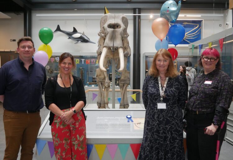 An elephant who was once part of a travelling animal show in the late 1800s has celebrated his 175th birthday at the University of Reading's Cole Museum of Zoology. Picture: University of Reading